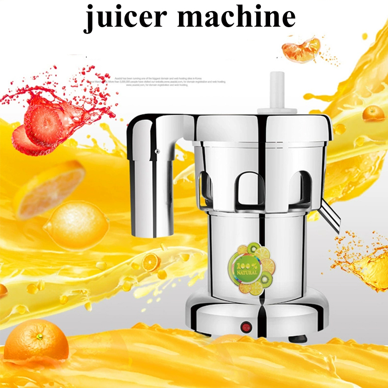 Electric Juice Extractor Stain - Juicer recension och pris